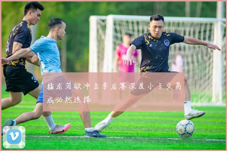 猛龙若欲冲击季后赛深度小卡交易成必然选择