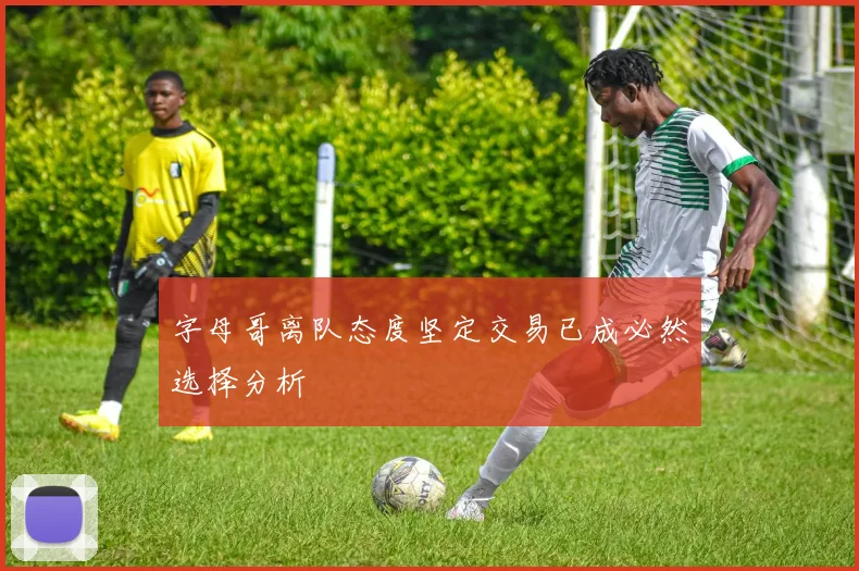 字母哥离队态度坚定交易已成必然选择分析