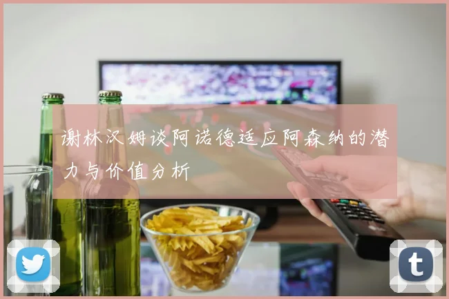 谢林汉姆谈阿诺德适应阿森纳的潜力与价值分析